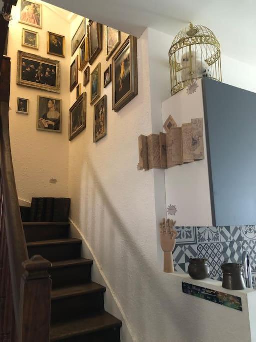 Maison Harry Potter Pour 6 Personnes En Centre Ville Montauban Extérieur photo